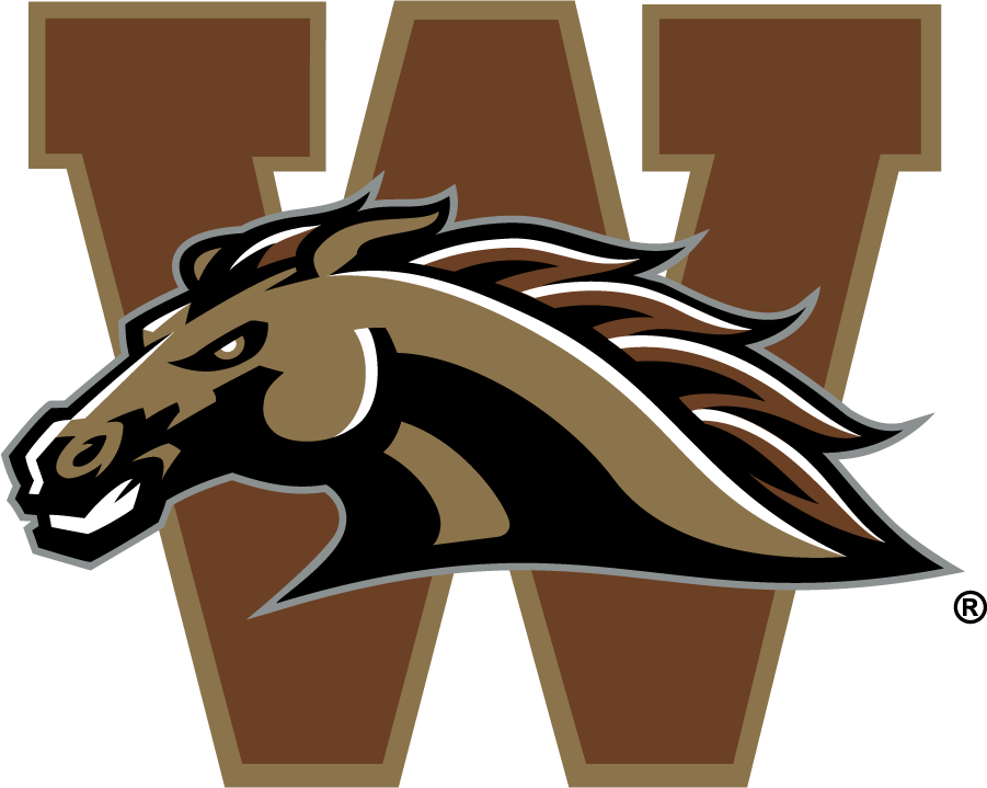 Western Michigan Broncos 1998-2016 Secondary Logo v2 t shirts iron on transfers